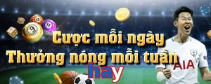 hay